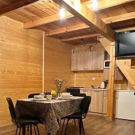 Holiday home Pod Brzozami Brodnica (Kartuzy)