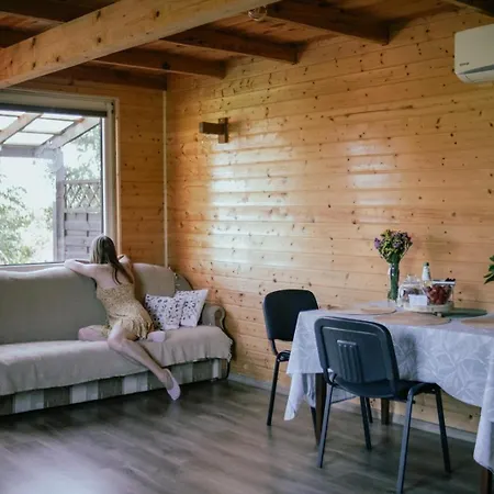 Holiday home Pod Brzozami Brodnica (Kartuzy)
